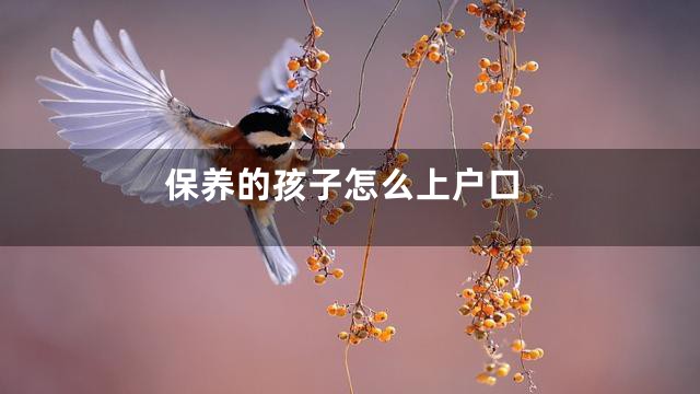 保养的孩子怎么上户口