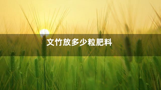 文竹放多少粒肥料