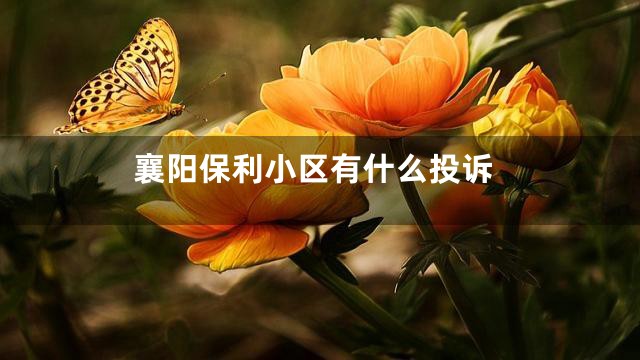襄阳保利小区有什么投诉