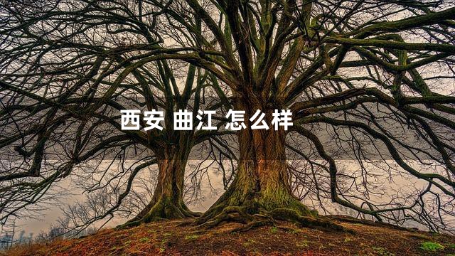 西安 曲江 怎么样