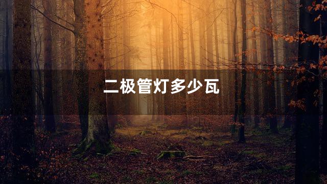 二极管灯多少瓦