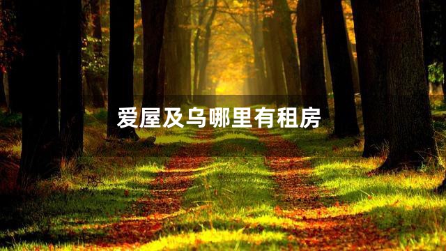 爱屋及乌哪里有租房