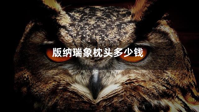 版纳瑞象枕头多少钱