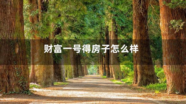 财富一号得房子怎么样