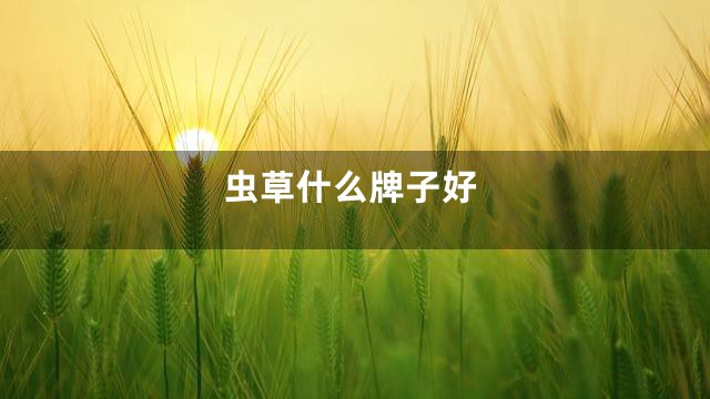 虫草什么牌子好