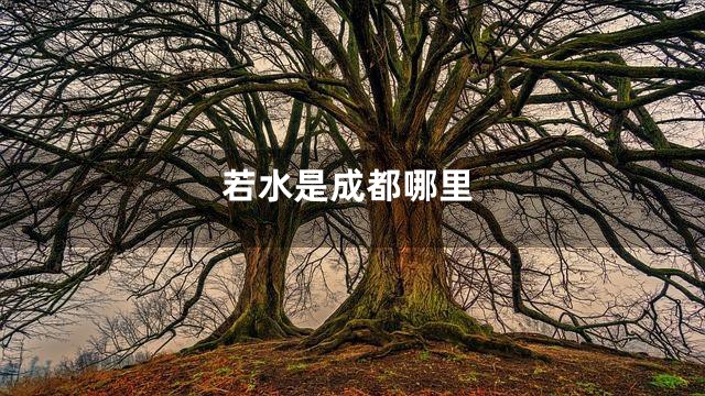 若水是成都哪里