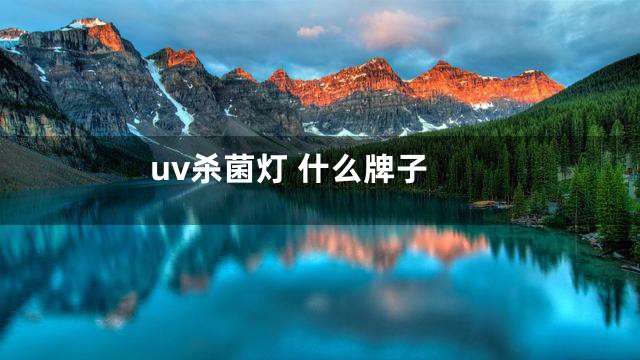 uv杀菌灯 什么牌子