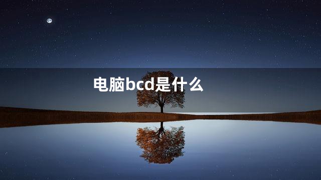 电脑bcd是什么