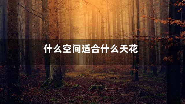 什么空间适合什么天花