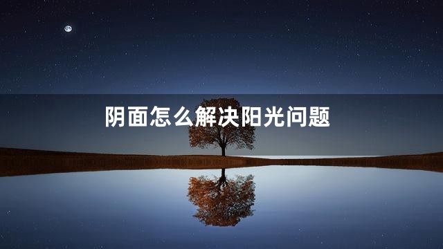 阴面怎么解决阳光问题