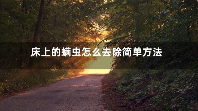 床上的螨虫怎么去除简单方法