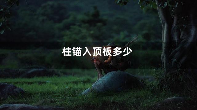 柱锚入顶板多少