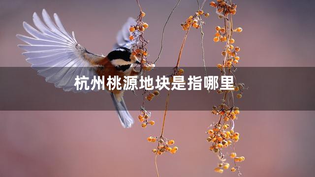 杭州桃源地块是指哪里