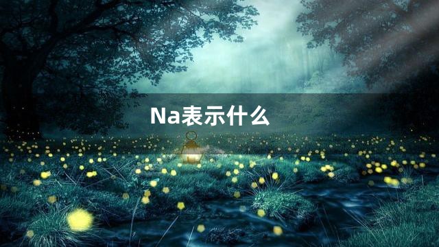 Na表示什么