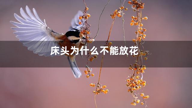 床头为什么不能放花