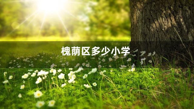 槐荫区多少小学