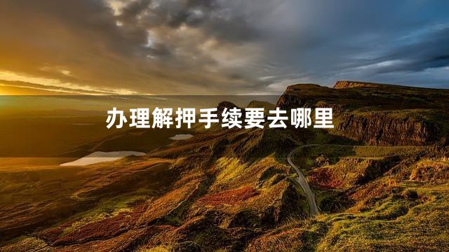 办理解押手续要去哪里