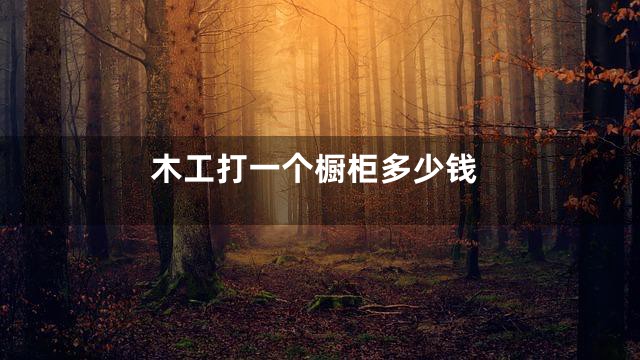 木工打一个橱柜多少钱
