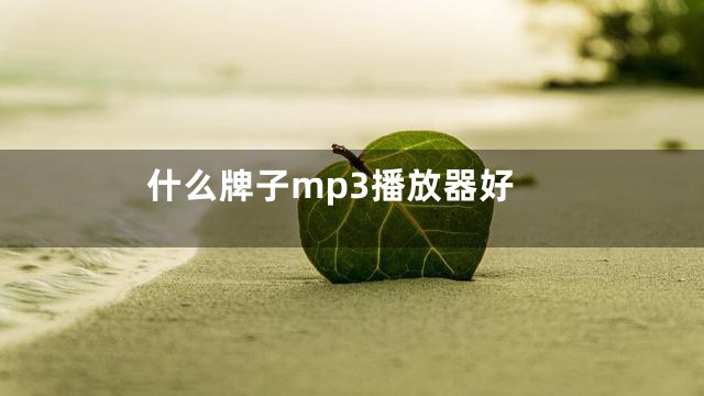 什么牌子mp3播放器好