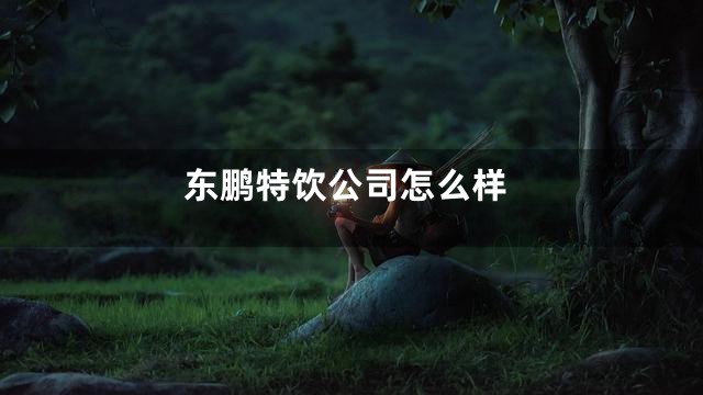 东鹏特饮公司怎么样