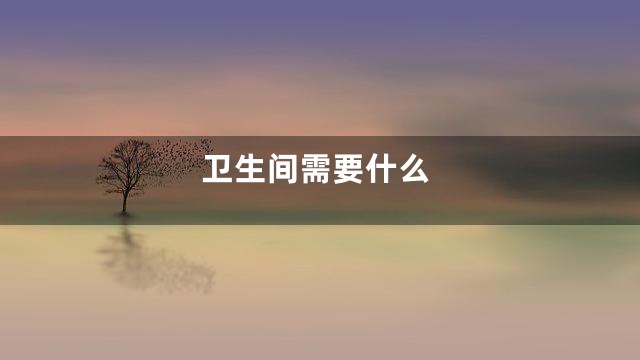 卫生间需要什么