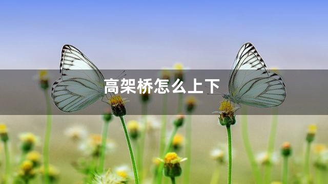 高架桥怎么上下