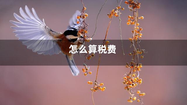 怎么算税费