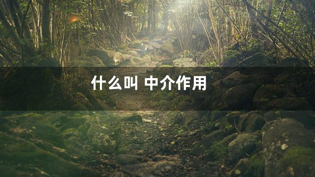 什么叫 中介作用