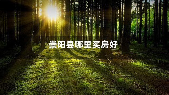 崇阳县哪里买房好