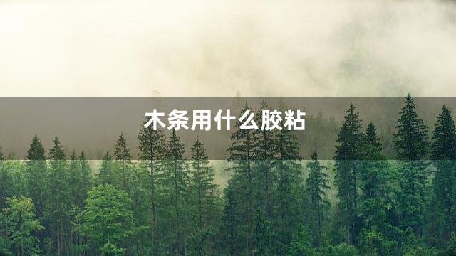 木条用什么胶粘