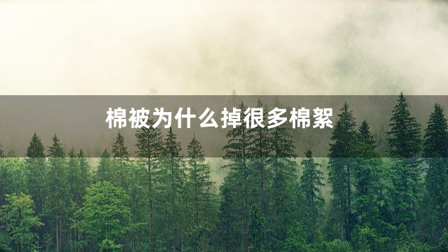 棉被为什么掉很多棉絮