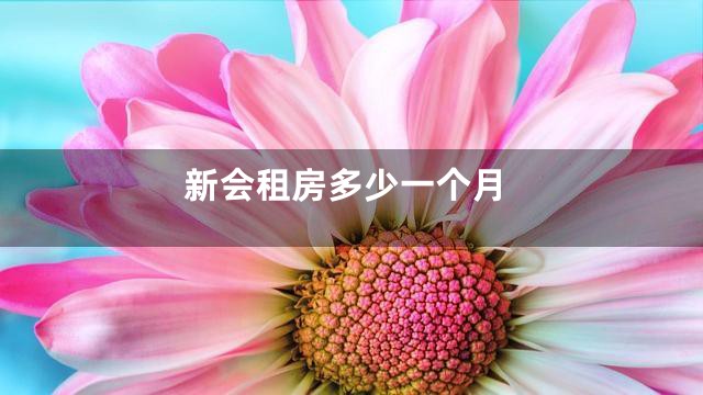 新会租房多少一个月