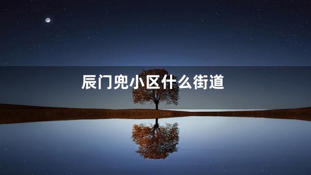 辰门兜小区什么街道