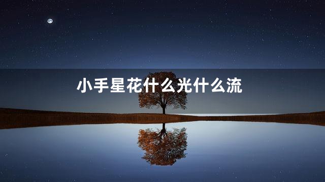 小手星花什么光什么流