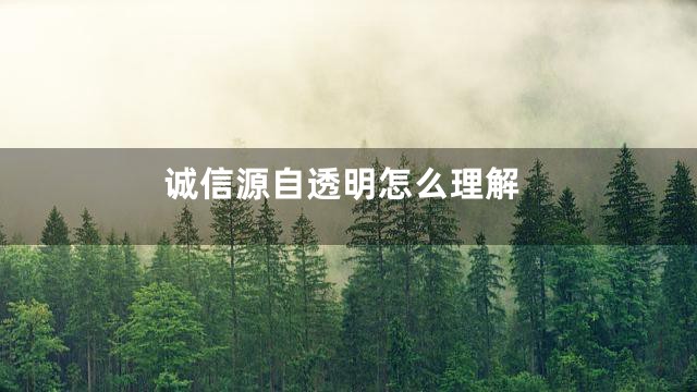 诚信源自透明怎么理解