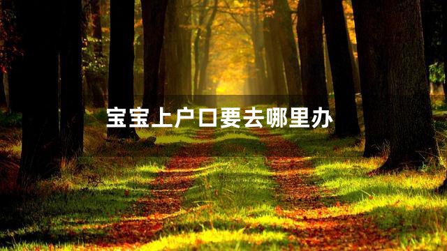 宝宝上户口要去哪里办