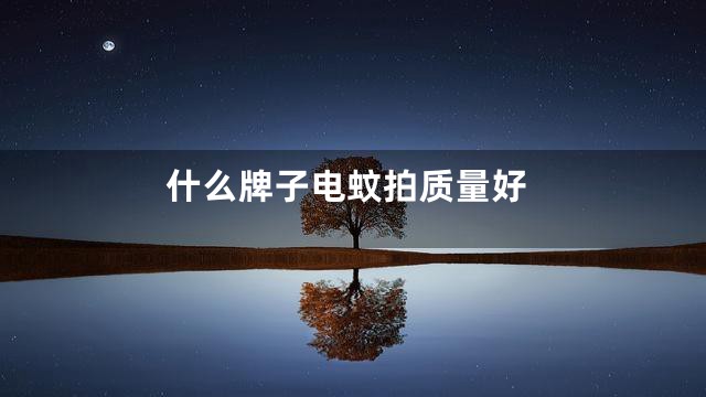 什么牌子电蚊拍质量好