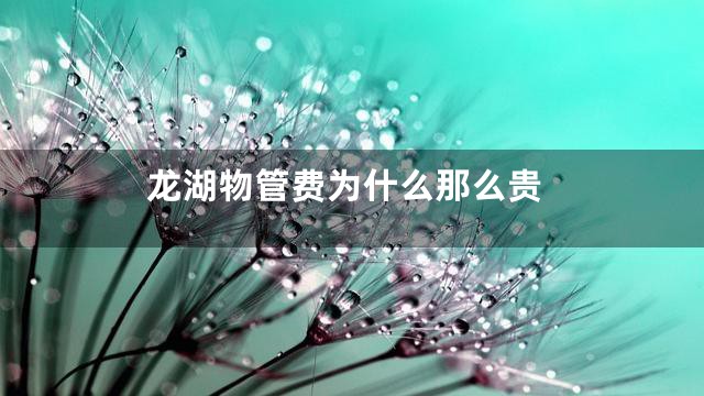 龙湖物管费为什么那么贵