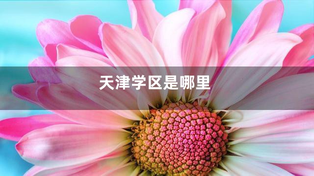 天津学区是哪里