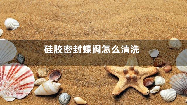 硅胶密封蝶阀怎么清洗