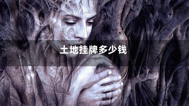 土地挂牌多少钱