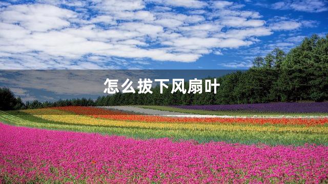 怎么拔下风扇叶