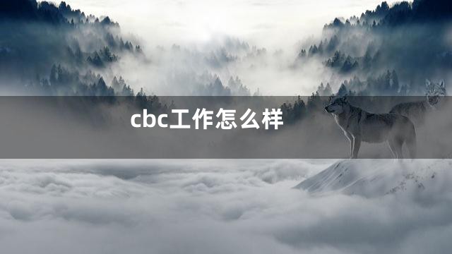 cbc工作怎么样