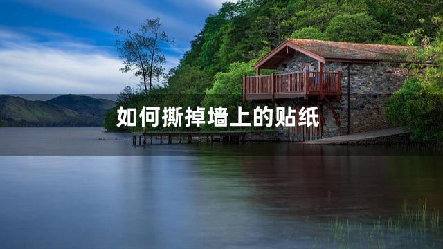 如何撕掉墙上的贴纸