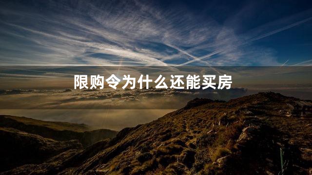 限购令为什么还能买房