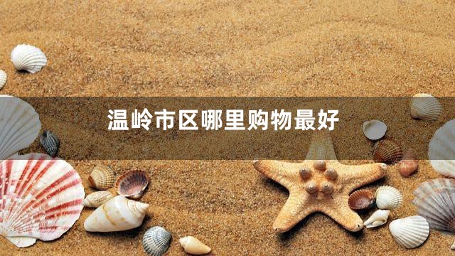 温岭市区哪里购物最好