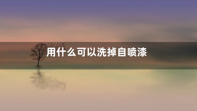 用什么可以洗掉自喷漆
