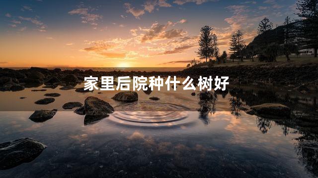 家里后院种什么树好