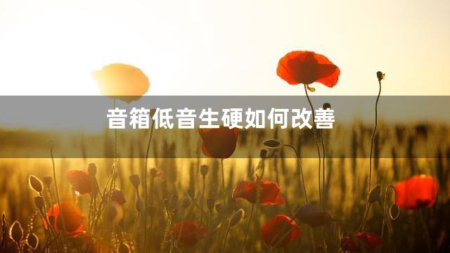 音箱低音生硬如何改善