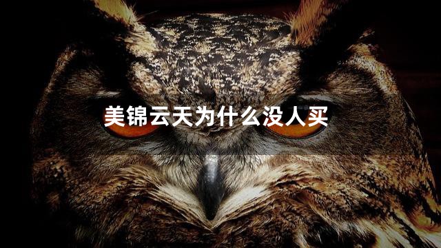 美锦云天为什么没人买